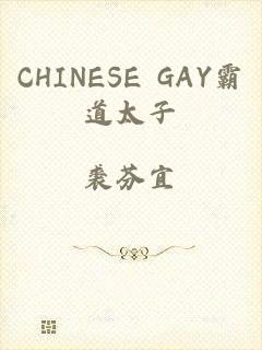 CHINESE GAY霸道太子